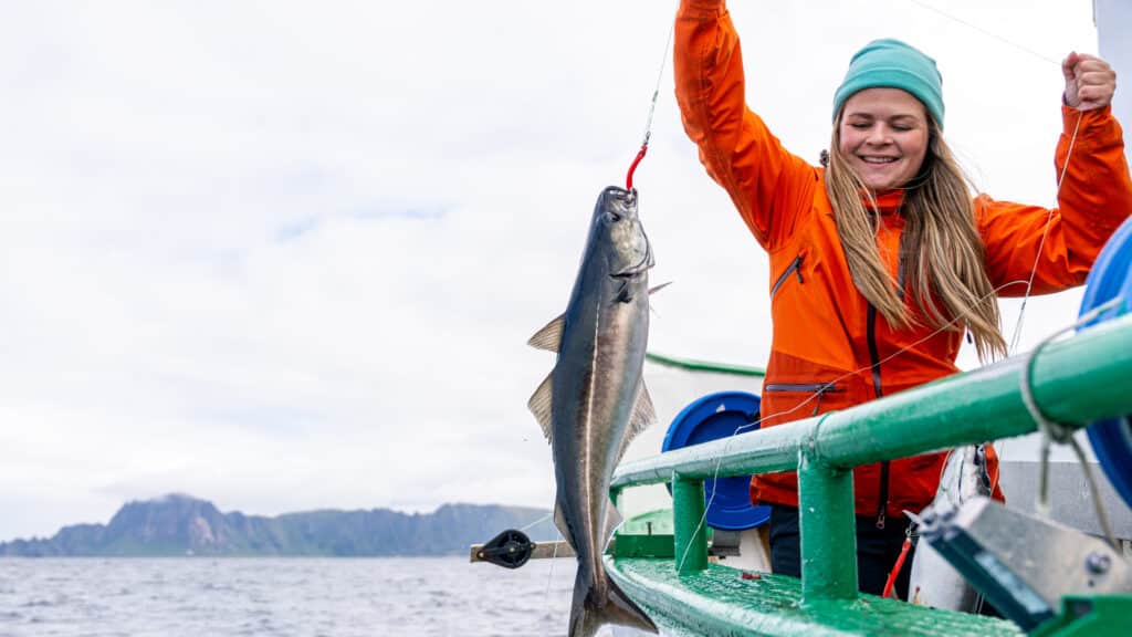 Fiske i Lofoten